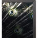 Brilliant Plumage Charcoal Luxe Art